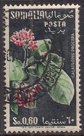 Somalia So.0.60  Flowers Calatropis Procera Used Stamp   ( E1084 ) - Somalilandia (Protectorado ...-1959)
