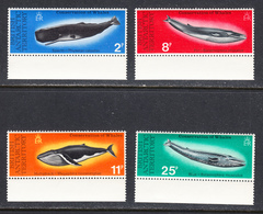 British Antarctic Territory 1977 Mint No Hinge, Sc# 64-67,SG 79-82 - Neufs