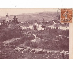 ORGELET  ,,, VUE  GENERALE ,,,, BERGER Et Ses  MOUTONS,,,,,,,JOLIE CARTE ,,,, VOYAGE 1923,,,,BE - Orgelet