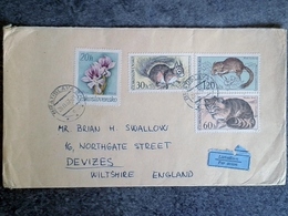 Lettre Tchécoslovaquie Par Avion Thèmes Timbres Animaux Rongeurs écureuil Souris Chat Et Fleurs Bratislava - Brieven En Documenten