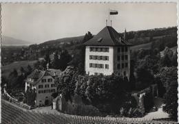 Schloss Heidegg 6284 Gelfingen - Flugaufnahme Aerien Perrochet - Gelfingen