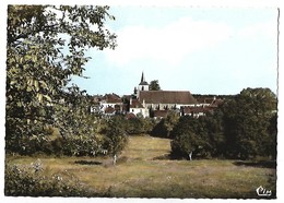 TREIGNY - Vue Générale - Treigny