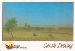 Mustering Cattle, Mt Ebenezer Station, Postcard Sent To Andorra, With Arrival Postmark - Alice Springs