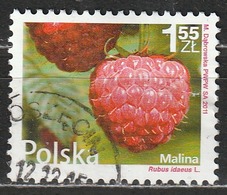 # Polonia 2011 - Raspberry - Rubus Idaeus - Cibo | Frutta | Piante (Flora) - Oblitérés