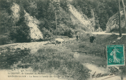 CH UNDERVELIER /  La Sorne à L'Entrée Des Gorges Du Pichon / - Undervelier