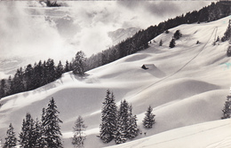 SUISSE,valais,CRANS SUR SIERRE,prés D'icogne,lens Montana,randogne,mollens,pente,neige Abondante,or Blanc - Sierre