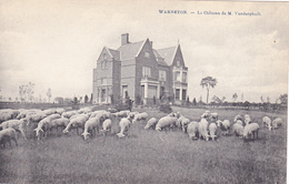 Cpa,WARNETON,commune Belge,comines ,région Wallone,le Chateau De Mr Vanderghult,ancien Propriétaire,avec Moutons,rare - Other & Unclassified