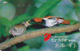 Télécarte Japon / 110-011 - Animal - OISEAU Au Nid - SONG BIRD Feeding Japan Phonecard - BE 4481 - Songbirds & Tree Dwellers