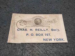 EUA STATIONERY CARD AVONDALE TO NEW YORK 1889 - ...-1900