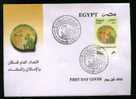 EGYPT COVERS > FDC > 2006 >   GENERAL ACCOUNTING - Storia Postale