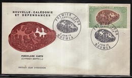 NOUVELLE CALEDONIE - FDC De 1970 N° PA 116 - Briefe U. Dokumente