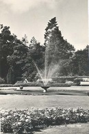 Zeist, Engelse Tuin  , Diepte Tuin    (glansfotokaart) - Zeist