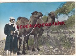 ASIE- LIBAN- LEBANON- A CAMEL DRIVER - CHAMELIER CHAMEAU - Libanon