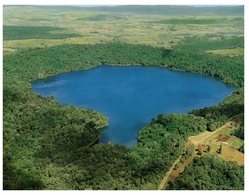 (475) Australia - QLD - Lake Barrine - Atherton Tablelands