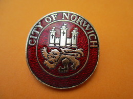 Insigne à épingle / City Of NORWICH/Comté De Norfolk /Angleterre/ Bronze Cloisonné émaillé/ Vers 1990 ?       MED221 - United Kingdom