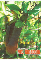 Plantes Carnivores  "Monkey Cups"  (Borneo)  Carte Postale Neuve Non Circulée - Plantas Tóxicas