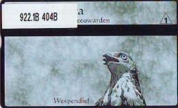 Telefoonkaart  LANDIS&GYR  NED * RCZ 922.02  404b * LACUS NATURA WESPENDIEF * VOGEL  BIRD OISEAU  TK * ONGEBRUIKT *  - Arenden & Roofvogels