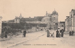 89 - COURSON - Le Château Et Les Promenades - Courson-les-Carrières