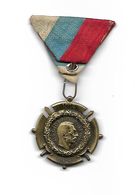 MEDAILLE SERBIE 1914- 1918 - Sonstige & Ohne Zuordnung