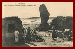 Plozevet * Menhir Du Droit De L'homme    ( Scan Recto Et Verso ) - Plozevet