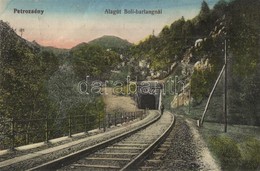 * T2/T3 Petrozsény, Petrosani; Vasúti Alagút A Boli-barlangnál / Railway Tunnel Near Pestera Bolii - Unclassified