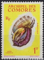COMORES Poste  20 * MLH Coquillage Shell (CV 1,60 €) - Used Stamps