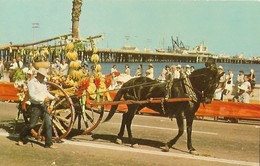 CARTE POSTALE ORIGINALE DE 9CM/14CM : FIESTA TIME IN SANTA BARBARA CALIFORNIA USA - Santa Barbara