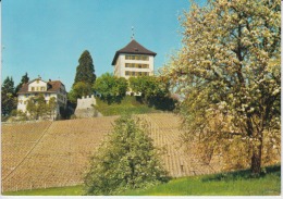 Switzerland, Suisse, Schweiz, Svizzera - Schloss Heidegg Gelfingen Unused - Gelfingen