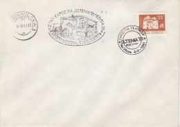 71741- OLTENIA RAMNICU VALCEA PHILATELIC EXHIBITION SPECIAL POSTMARK ON COVER, MANOR STAMP, 1981, ROMANIA - Covers & Documents