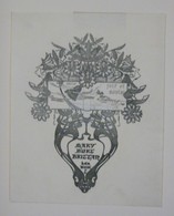 Ex-libris Moderne Début XXème Illustré - ETATS-UNIS - MARY BURT BRITTAN - Art Nouveau - Ex-libris