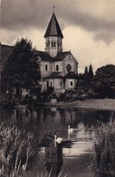 Saint Severin En Condrroz, Eglise Romane Du XII Siècle (pk49095) - Nandrin