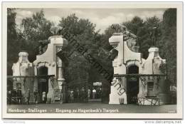 Hamburg-Stellingen - Eingang Zu Hagenbeck's Tierpark - Foto-AK - Stellingen