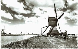 Pays-Bas - Kinderdjik - Molen - Moulin à Vent - Kinderdijk