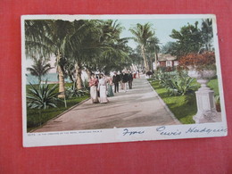 Grounds Of Royal Poinciana Paper Chipping Border  Florida > West Palm Beach>  Ref 3004 - West Palm Beach
