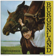 Burgenland 1967 - 16 Seiten Mit 11 Abbildungen - Relief-Bildkarte - Austria