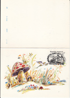 CPA MUSHROOMS, FLOWERS, BIRD, SQUIRREL, LADY BUG, 2 PARTS FOLDED - Pilze