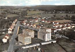 58-GUERIGNY- VUE AERIENNE LES CHAMPS MOINEAUX - Guerigny