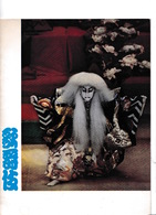 Superbe Programme Théâtre Kabuki De Tokyo (Japon), Odéon (Théâtre De France), Paris, Octobre 1965 - Teatro & Disfraces