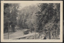 PIEMONTE - TORINO - VALENTINO - TRAM - FORMATO PICCOLO - EDIZ. BRUNNER  COMO - NUOVA NV - Transports