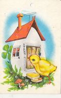 72129- EGG HOUSE, CHICKEN, FLOWERS, MUSHROOMS - Pilze