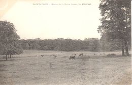 (92) Hauts De Seine - CPA - Saint-Cloud - Haras De La Porte Jaune - Le Pâturage - Saint Cloud