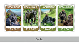 Mozambique. 2018 Gorillas. (324a) - Gorillas