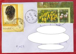 LETTER REGISTERED ROMANIA NICE STAMPS DOG, FLOWERS TULIPS - Covers & Documents