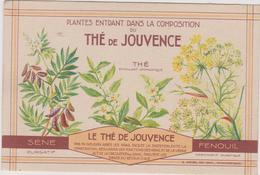 The De Jouvence  Fenouil   Sene Purgatif Plante Medecinale - Plantes Médicinales