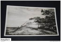 Ostseebad Prerow /  Gebraucht 1938  ( T - 84 ) - Seebad Prerow