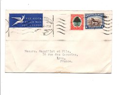 AFRIQUE DU SUD LETTRE AVION POUR LA FRANCE 1954 - New Republic (1886-1887)