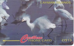 TARJETA DE CAYMAN ISLANDS DE UNA GARZA (BIRD-PAJARO) 13CCIC - Kaaimaneilanden