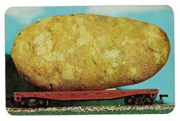 CPSM ETATS-UNIS THE IDAHO POTATO - Other & Unclassified