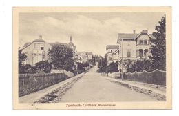 0-5809 TAMBACH - DIETHARZ, Waldstrasse, 1922 - Tambach-Dietharz