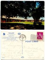 United States 1961 Postcard Camellia Motel & Restaurant, Florence South Carolina - Florence